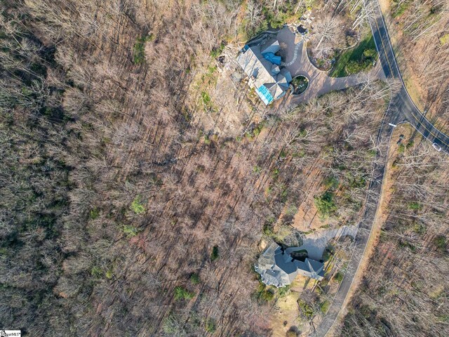 2 Park Green Way, Landrum, SC 29356