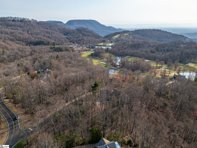 2 Park Green Way, Landrum, SC 29356