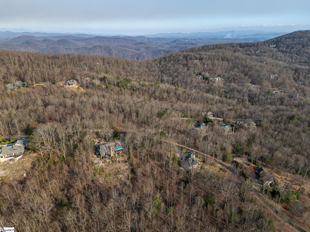2 Park Green Way, Landrum, SC 29356