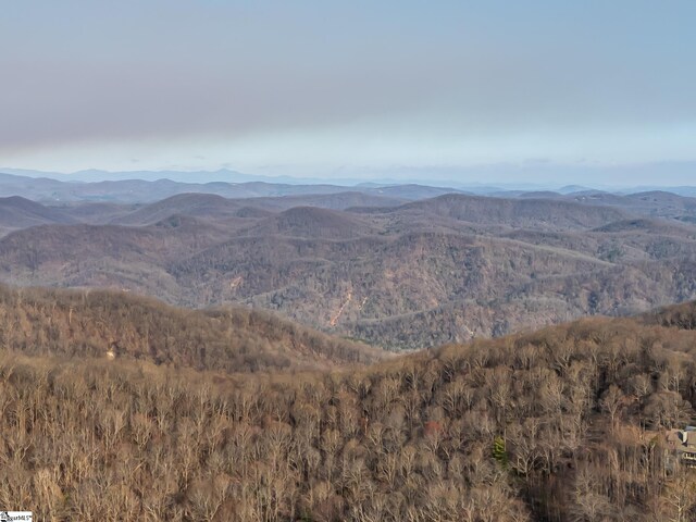 2 Park Green Way, Landrum, SC 29356