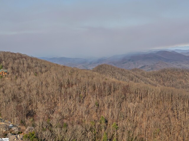 2 Park Green Way, Landrum, SC 29356