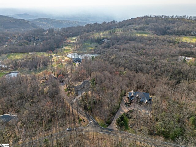 2 Park Green Way, Landrum, SC 29356