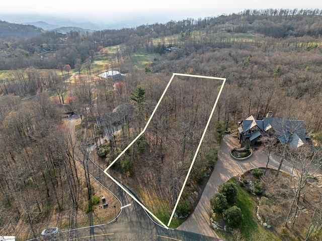 2 Park Green Way, Landrum, SC 29356