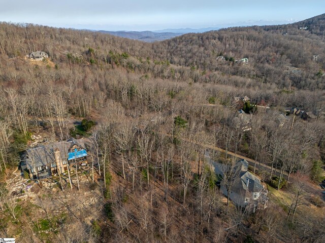 2 Park Green Way, Landrum, SC 29356