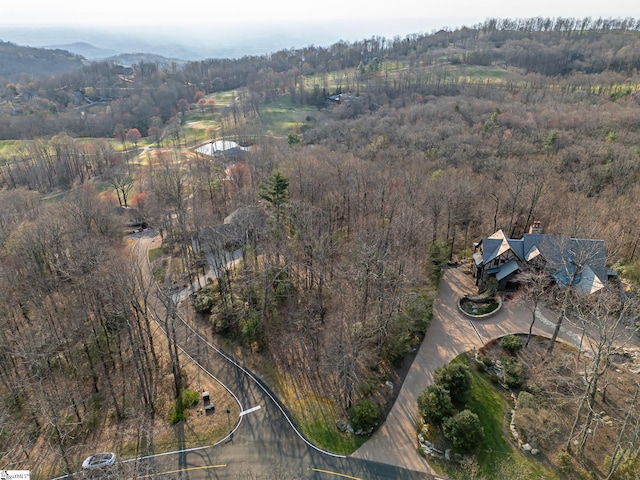 2 Park Green Way, Landrum, SC 29356