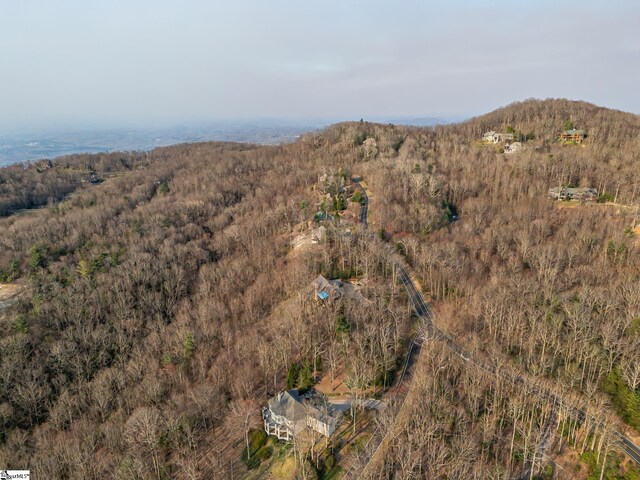2 Park Green Way, Landrum, SC 29356