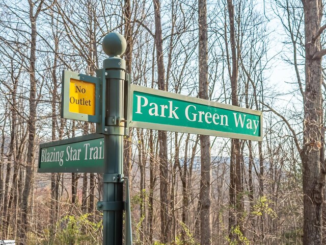 2 Park Green Way, Landrum, SC 29356
