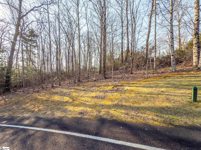 2 Park Green Way, Landrum, SC 29356