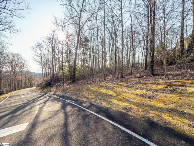 2 Park Green Way, Landrum, SC 29356