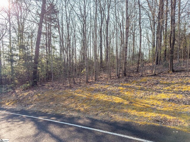 2 Park Green Way, Landrum, SC 29356