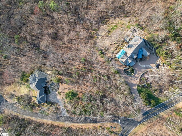 2 Park Green Way, Landrum, SC 29356