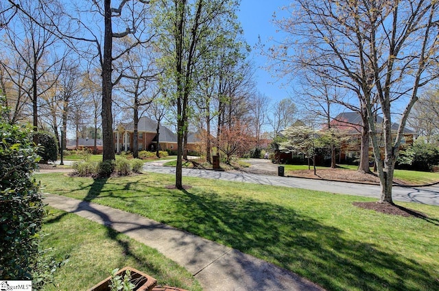 206 Chelsea Ln, Greer, SC 29650 - view of home's community with a yard