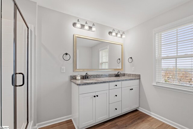 bathroom with a shower stall, a wealth of natural light, wood finished floors, and a sink