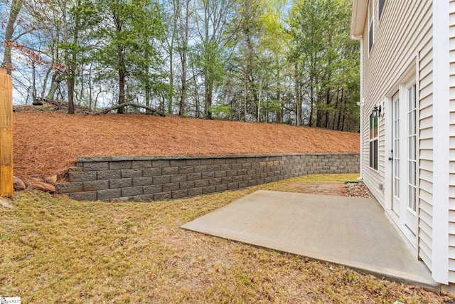 view of yard featuring a patio