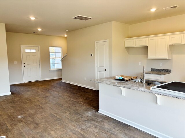 219 Islay Way, Anderson, SC 29621 - kitchen featuring white cabinetry, a sink, light stone countertops, and dark wood finished floors