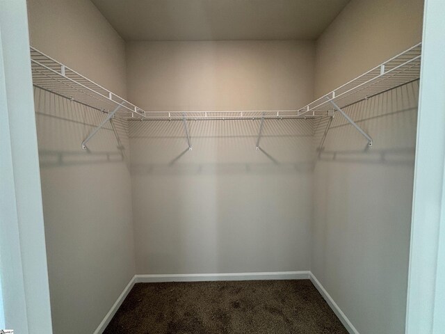 219 Islay Way, Anderson, SC 29621 - spacious closet with carpet floors