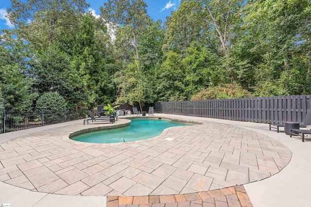 3 Bailey Knoll Ct, Simpsonville, SC 29681 - view of pool with a fenced backyard, a patio, and a fenced in pool