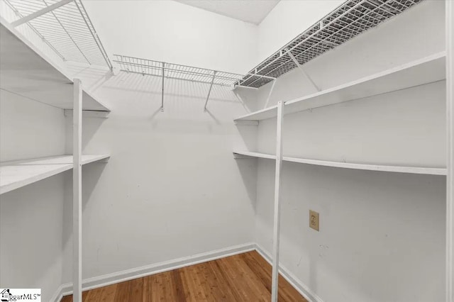 walk in closet featuring wood finished floors