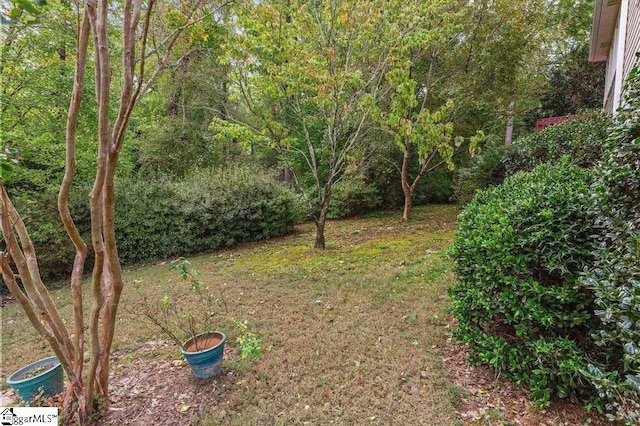 view of yard featuring a view of trees