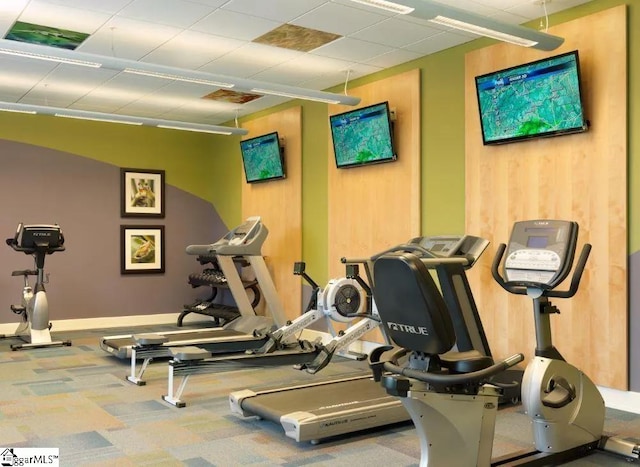 workout area featuring carpet