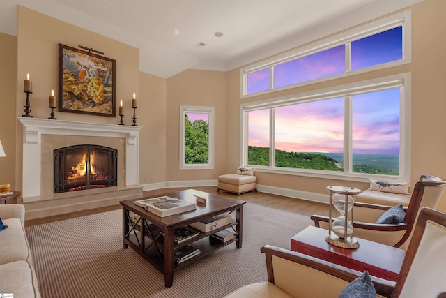39 The Cliffs Pkwy, Landrum, SC 29356 - living room featuring wood finished floors and a high end fireplace