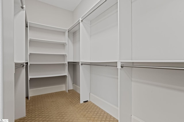 view of spacious closet