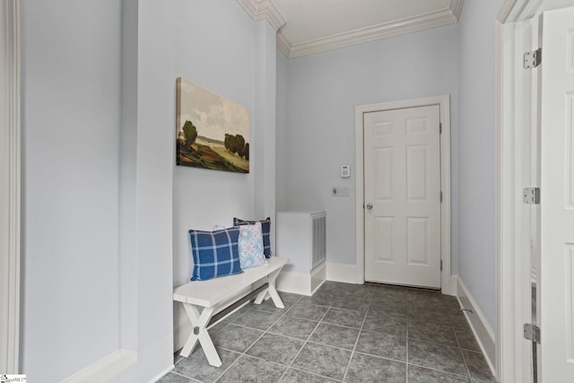 mudroom with crown molding, baseboards, and dark tile patterned floors