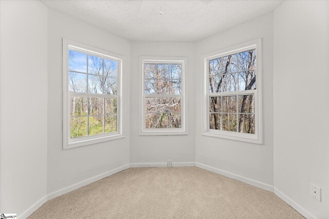 carpeted spare room featuring baseboards and a textured ceiling