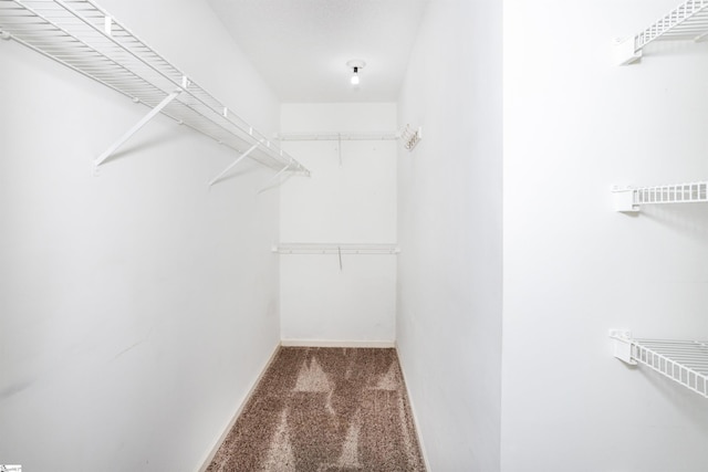 213 Lexington Place Way, Greenville, SC 29615 - walk in closet featuring carpet floors