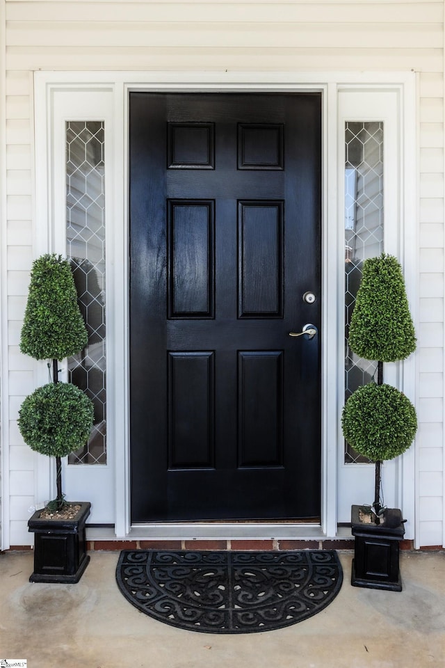 213 Lexington Place Way, Greenville, SC 29615 - view of property entrance
