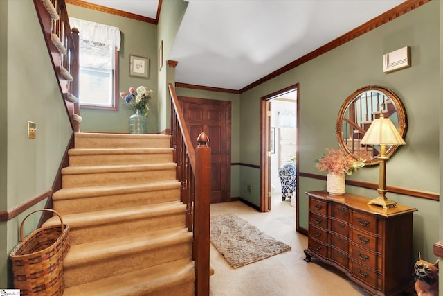 202 Mornington Ct, Simpsonville, SC 29681 - staircase featuring carpet flooring, ornamental molding, and baseboards