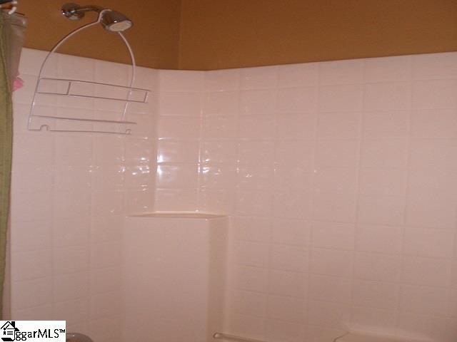 room details with tiled shower
