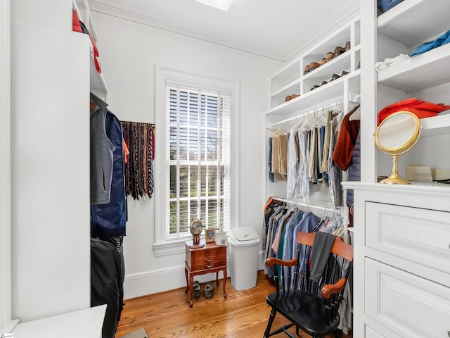 walk in closet with wood finished floors