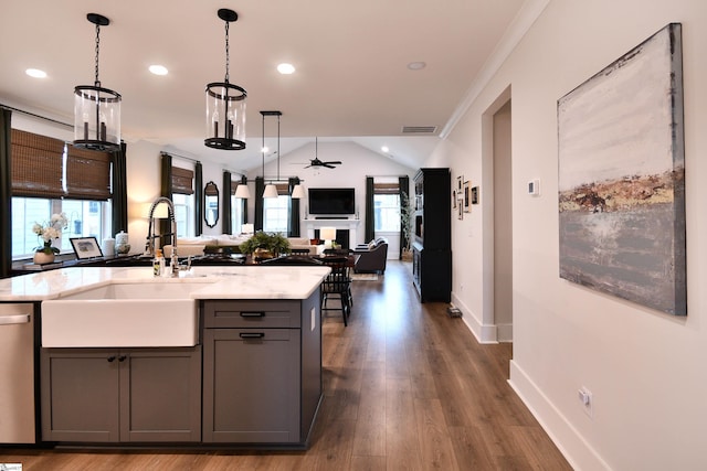 317 Encampment Blvd, Simpsonville, SC 29681 - kitchen with open floor plan, gray cabinetry, stainless steel dishwasher, a sink, and visible vents