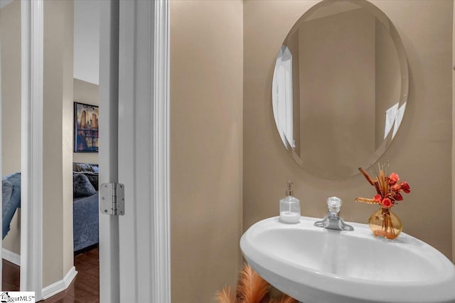 513 Rio Grande Pl, Simpsonville, SC 29680 - bathroom featuring wood finished floors and a sink