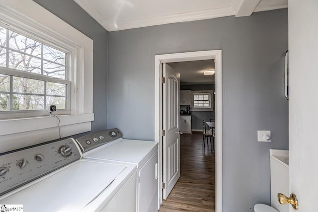 123 Cobb St, Easley, SC 29640 - laundry area featuring a healthy amount of sunlight, independent washer and dryer, laundry area, and crown molding