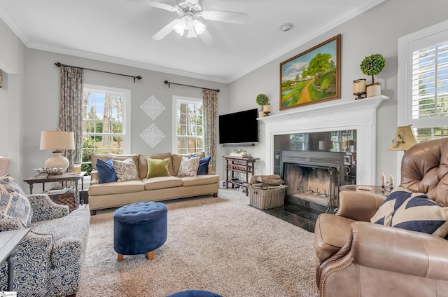 carpeted living area featuring crown molding, a healthy amount of sunlight, a fireplace, and ceiling fan