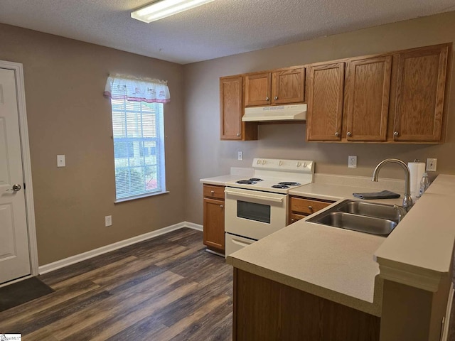 kitchen featuring a sink, brown cabinets, white electric range oven, under cabinet range hood, and dark wood-style flooring