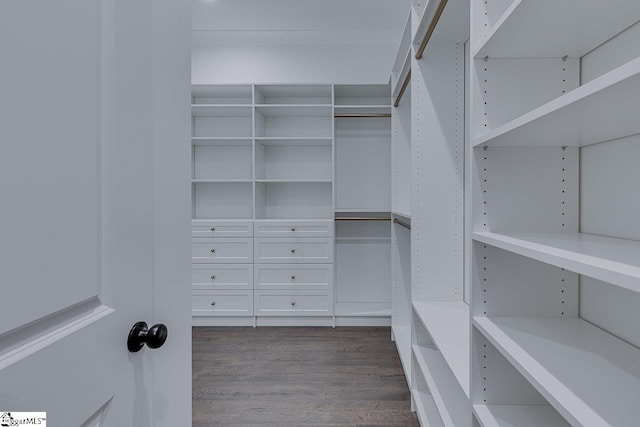 walk in closet with dark wood finished floors