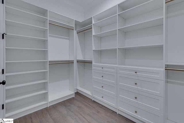 walk in closet with dark wood-style floors
