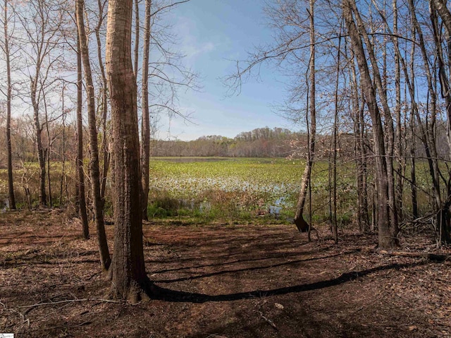 view of nature featuring a wooded view