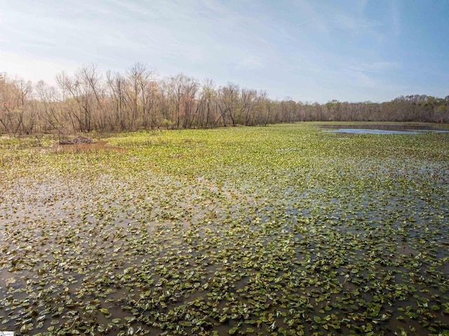 view of local wilderness featuring a view of trees and a water view