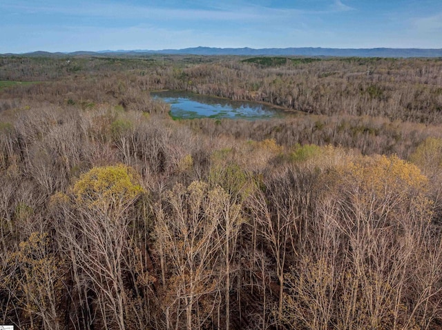 drone / aerial view featuring a water and mountain view