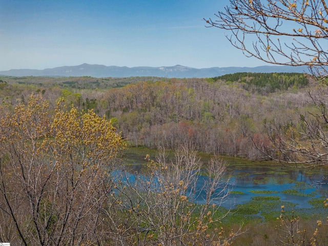 property view of mountains with a wooded view and a water view
