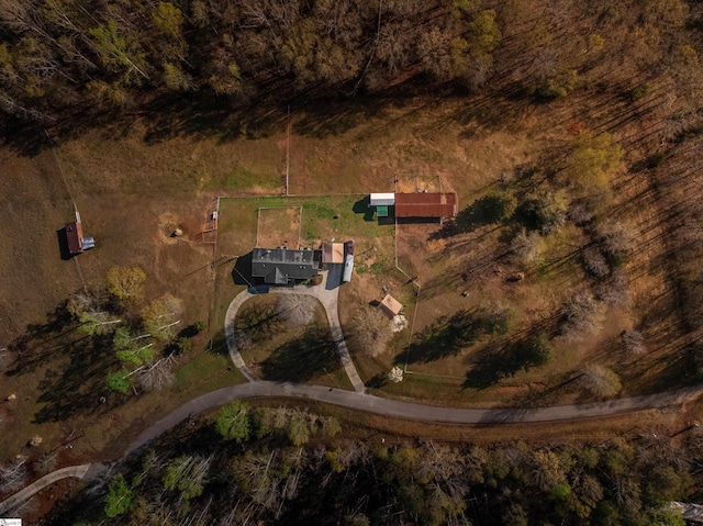 drone / aerial view