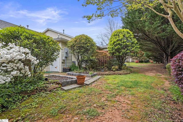 view of yard