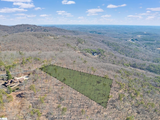 18 Granite Knob Way, Landrum, SC 29356