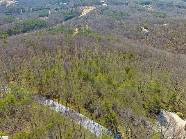 18 Granite Knob Way, Landrum, SC 29356