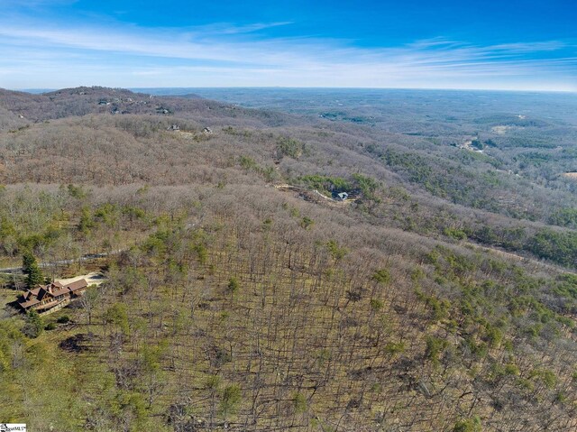 18 Granite Knob Way, Landrum, SC 29356
