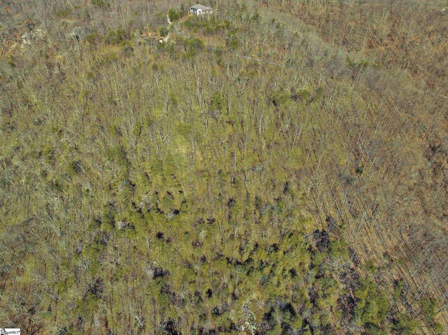 18 Granite Knob Way, Landrum, SC 29356